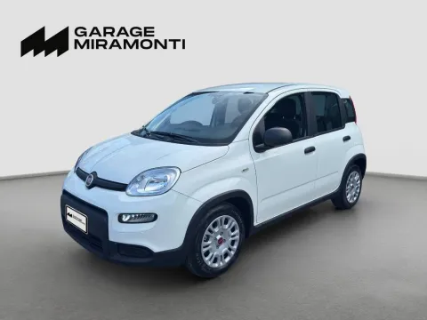 Fiat Panda 1.0 firefly hybrid s&s 70cv - Immagine 1