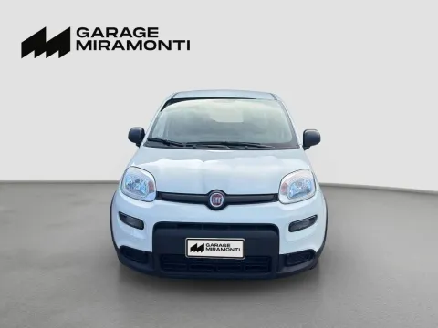 Fiat Panda 1.0 firefly hybrid s&s 70cv - Immagine 2
