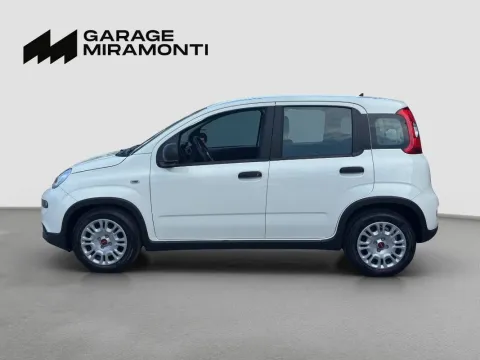 Fiat Panda 1.0 firefly hybrid s&s 70cv - Immagine 3