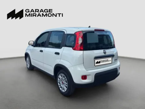 Fiat Panda 1.0 firefly hybrid s&s 70cv - Immagine 4
