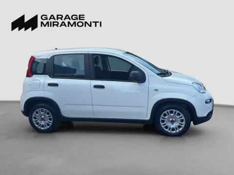 Fiat Panda 1.0 firefly hybrid s&s 70cv - Immagine 7