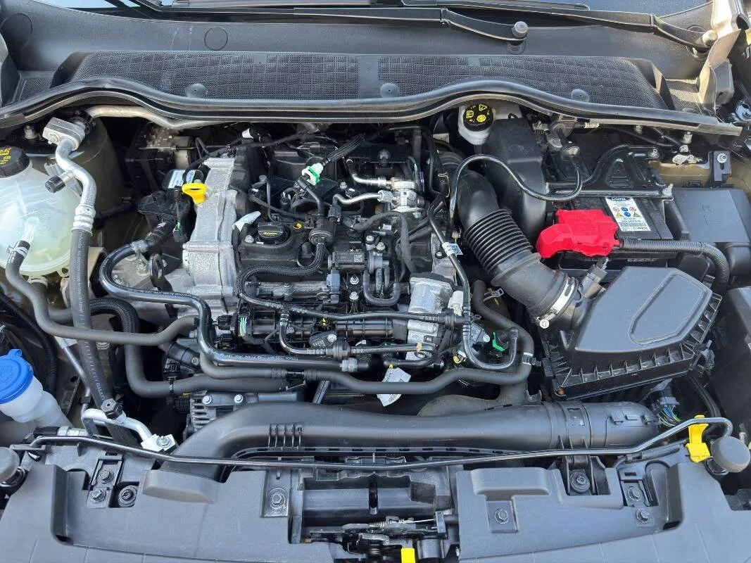 Insertion Image