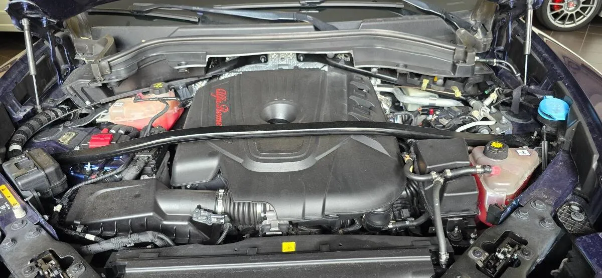 Insertion Image