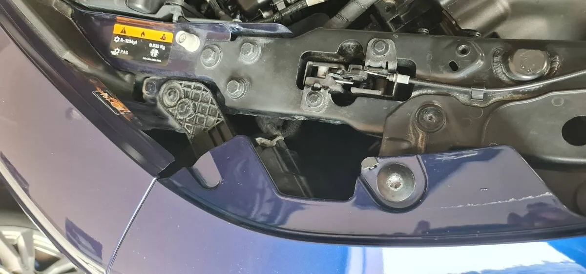 Insertion Image