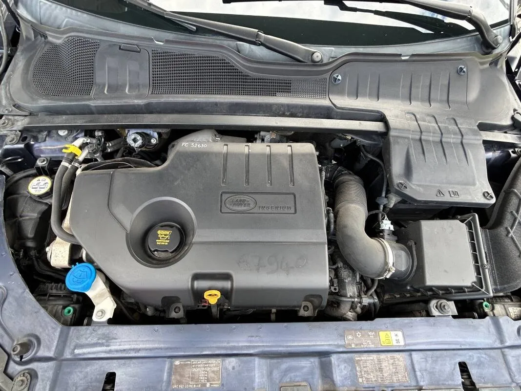 Insertion Image