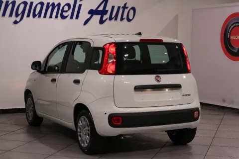 Fiat Panda 1.0 firefly hybrid s&s 70cv - Immagine 4