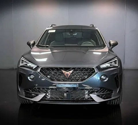 Cupra Formentor 2.0 tdi 150cv dsg - Immagine 2