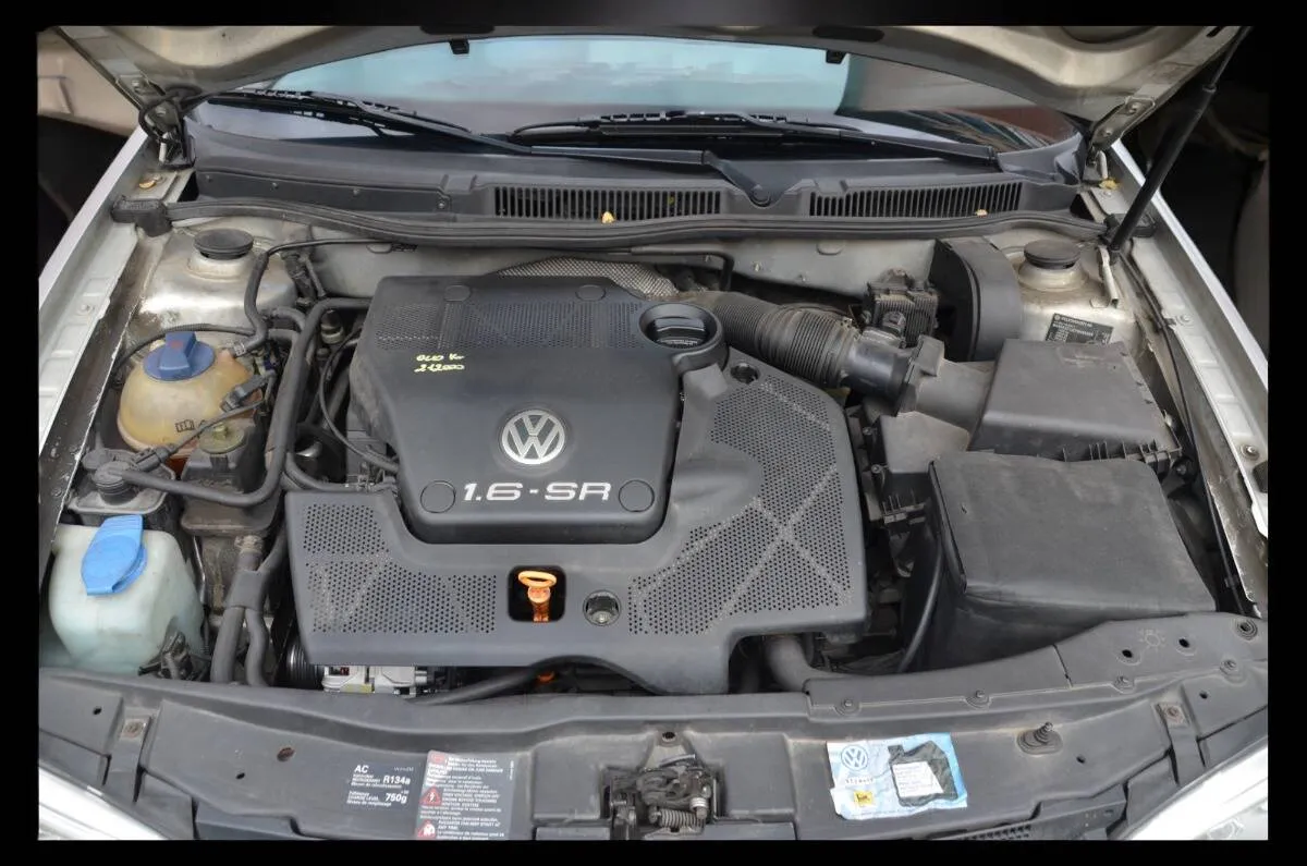 Insertion Image