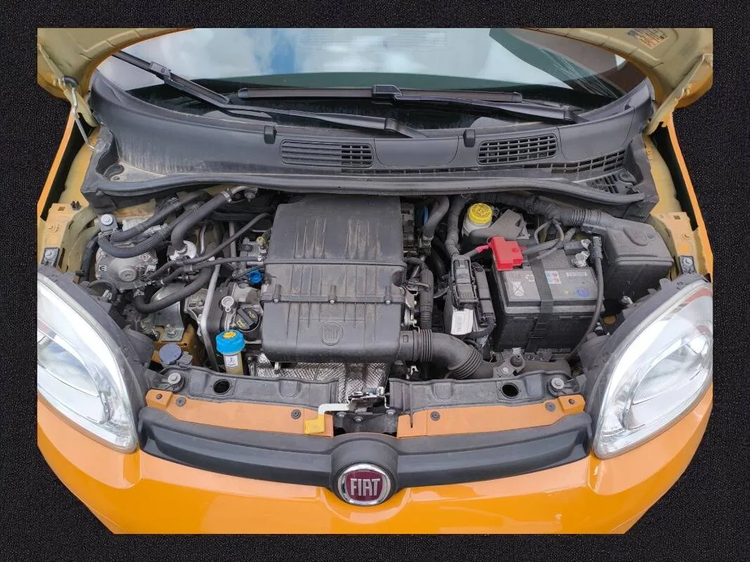 Insertion Image