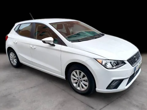 Seat Ibiza 1.0 tgi Business 90cv - Immagine 3