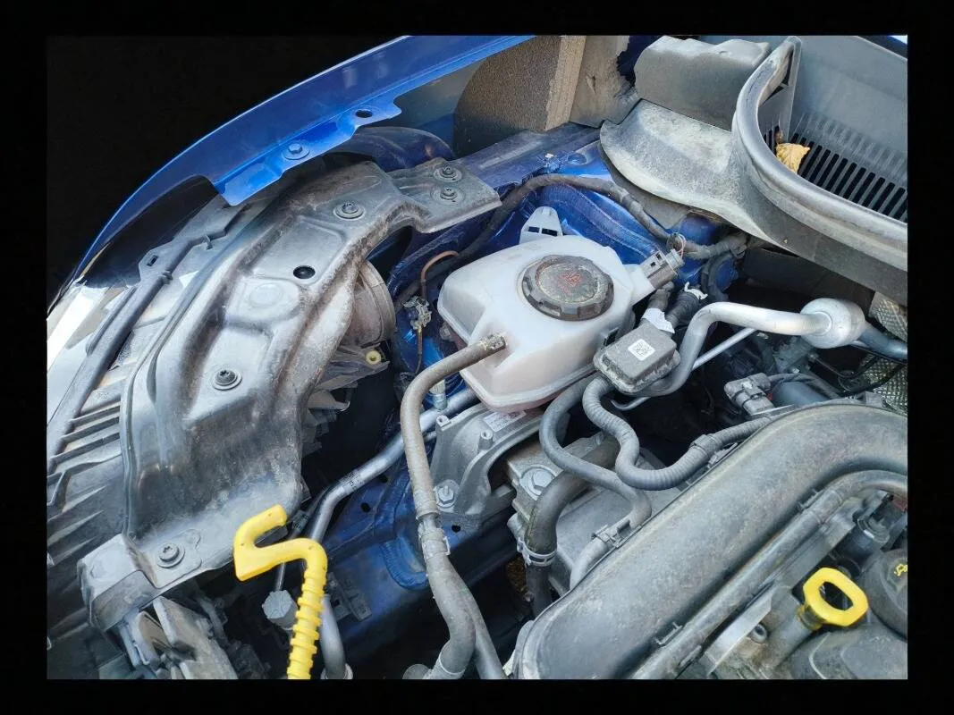 Insertion Image