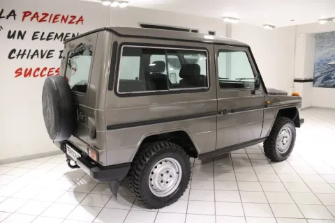 Mercedes GD 250 SW corto - Immagine 7
