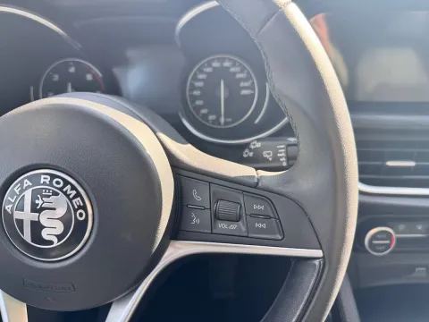 Alfa Romeo Stelvio 2.2 t Business rwd 180cv auto - Immagine 20