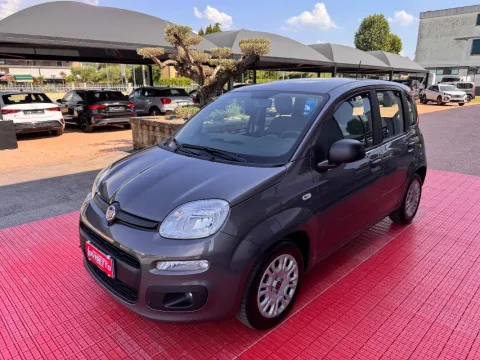 Fiat Panda 1.0 firefly hybrid City Life s&s 70cv 5p.ti - Immagine 4