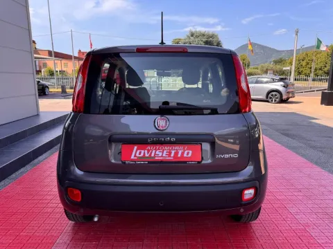 Fiat Panda 1.0 firefly hybrid City Life s&s 70cv 5p.ti - Immagine 6