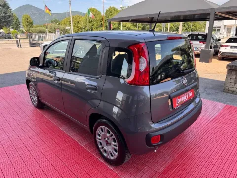 Fiat Panda 1.0 firefly hybrid City Life s&s 70cv 5p.ti - Immagine 7
