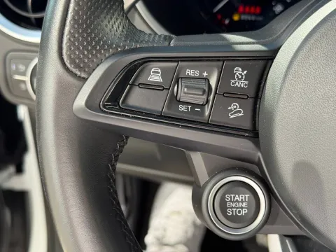 Alfa Romeo Stelvio 2.2 t Sprint Q4 210cv auto - Immagine 24