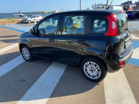 Fiat Panda 1.0 firefly hybrid s&s 70cv 5p.ti - Immagine 6