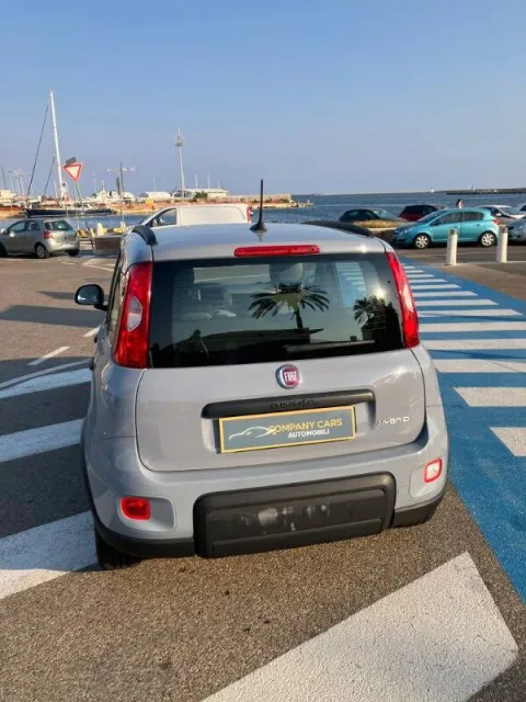 Fiat Panda 1.0 firefly hybrid City Life s&s 70cv 5p.ti - Immagine 4