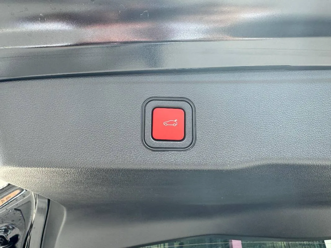 Insertion Image