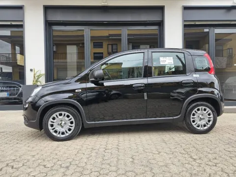 Fiat Panda 1.0 firefly hybrid s&s 70cv - Immagine 1