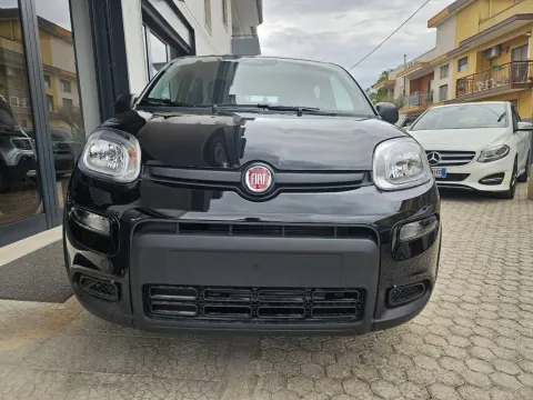 Fiat Panda 1.0 firefly hybrid s&s 70cv - Immagine 2