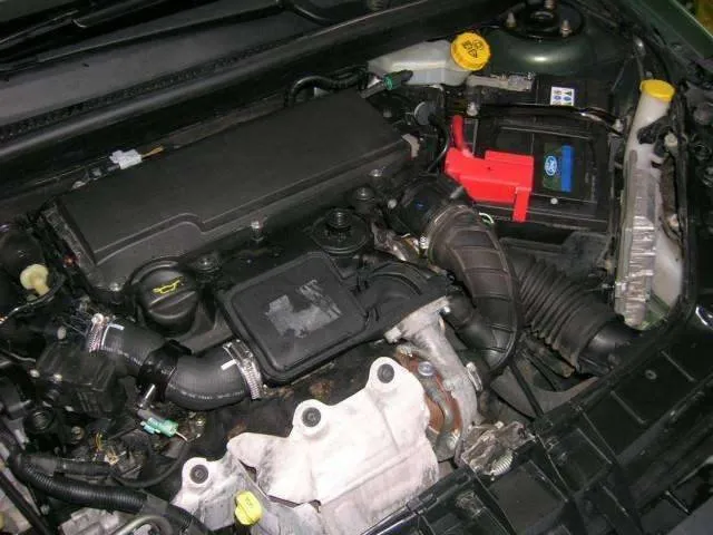 Insertion Image
