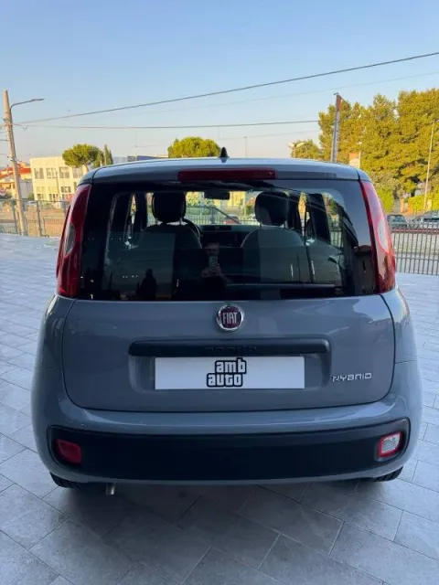 Fiat Panda 1.0 firefly hybrid s&s 70cv - Immagine 5