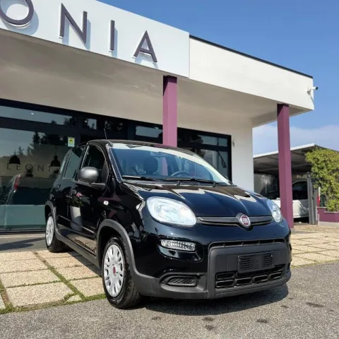 Fiat Panda 1.0 firefly hybrid s&s 70cv - Immagine 1
