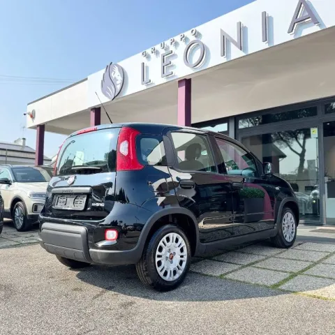 Fiat Panda 1.0 firefly hybrid s&s 70cv - Immagine 6