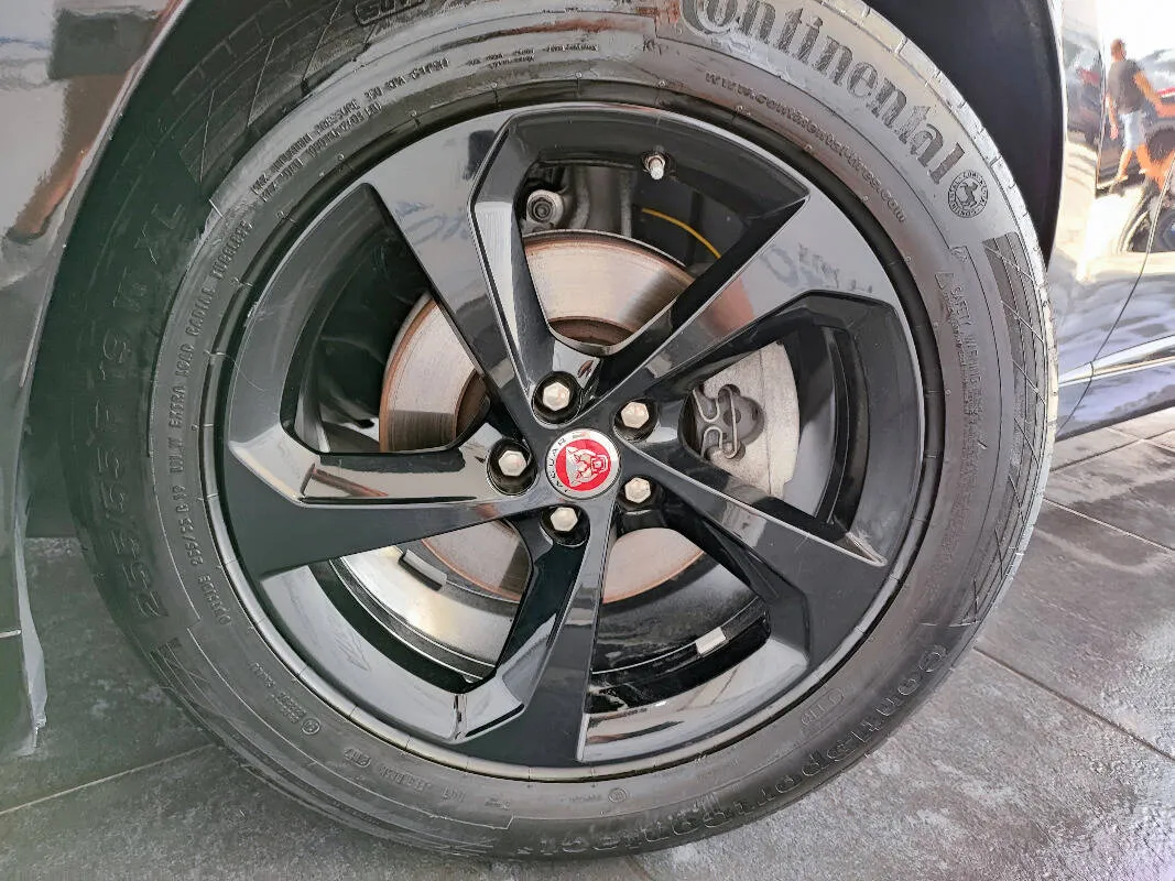 Insertion Image