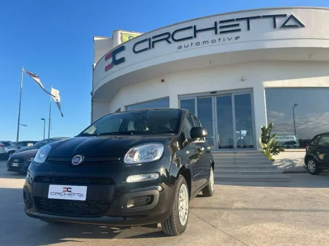 Fiat Panda 1.0 firefly hybrid s&s 70cv 5p.ti - Immagine 2