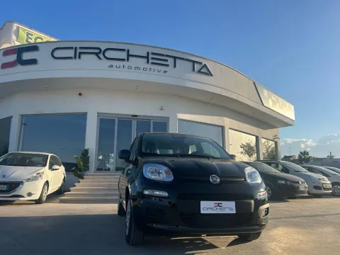 Fiat Panda 1.0 firefly hybrid s&s 70cv 5p.ti - Immagine 3