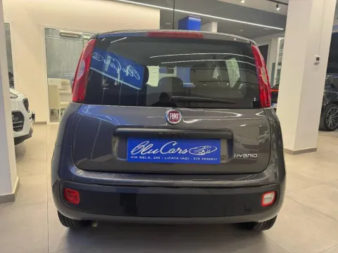 Fiat Panda 1.0 firefly hybrid s&s 70cv 5p.ti - Immagine 7