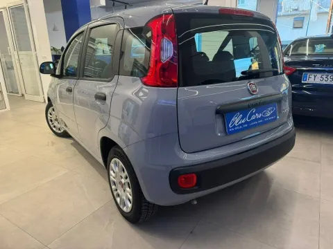 Fiat Panda 1.0 firefly hybrid Sport s&s 70cv 5p.ti - Immagine 3