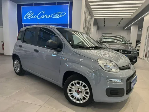Fiat Panda 1.0 firefly hybrid s&s 70cv 5p.ti - Immagine 6