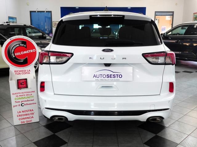 Ford Kuga 1.5 EcoBlue 120 CV POWERSHIFT ST LINE - Immagine 13