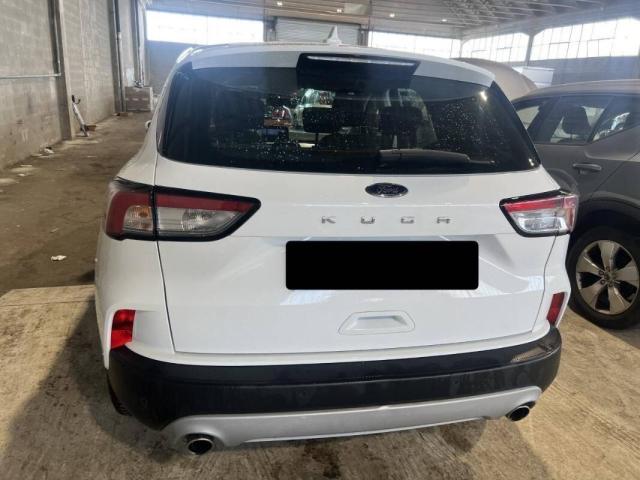 Ford Kuga 1.5 ecoblue Connect 2wd 120cv auto - Immagine 21