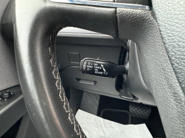 Seat Leon 2.0 tdi Business 150cv dsg 7m my20 - Immagine 6