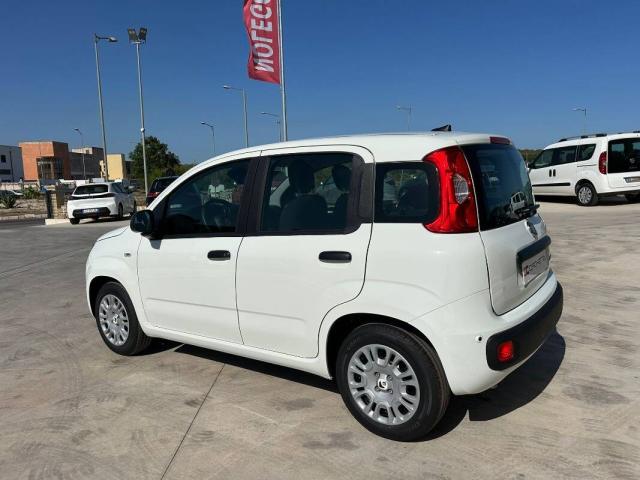 Fiat Panda 1.0 firefly hybrid s&s 70cv 5p.ti - Immagine 24