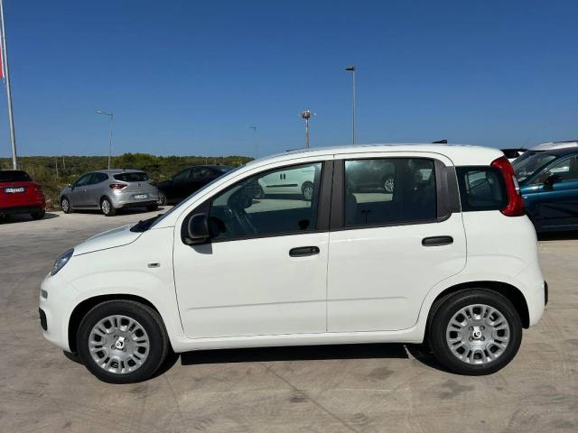 Fiat Panda 1.0 firefly hybrid s&s 70cv 5p.ti - Immagine 8