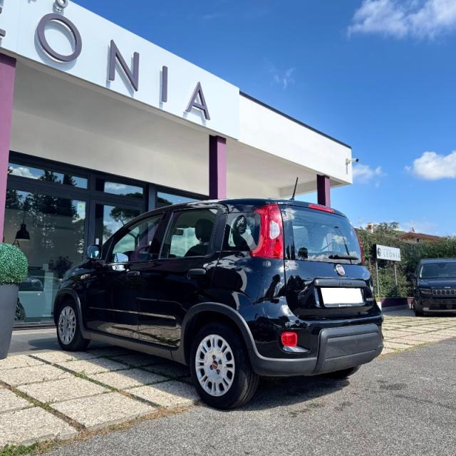 Fiat Panda III 1.0 firefly hybrid s&s 70cv 5 posti - Immagine 8