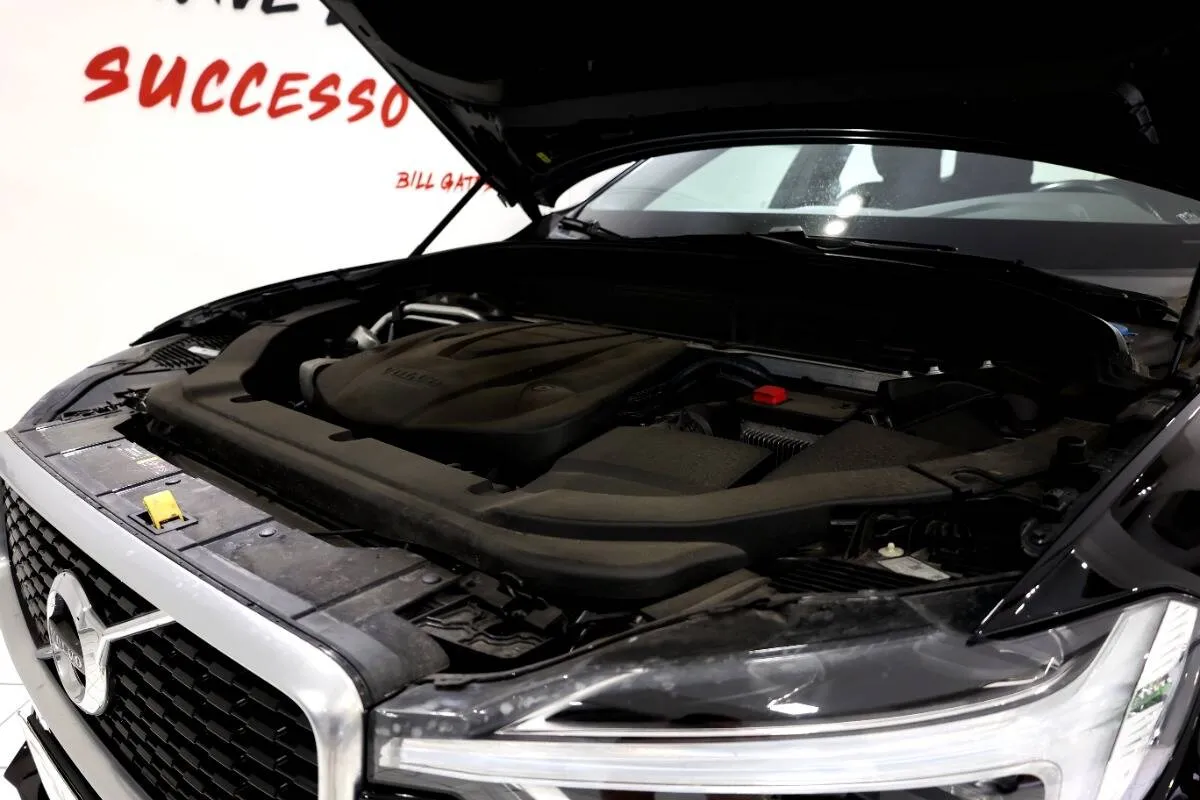 Insertion Image