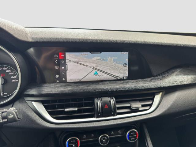 Alfa Romeo Stelvio 2.2 t Business Q4 190cv auto - Immagine 5