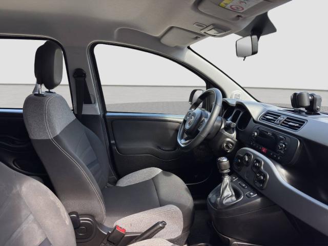 Fiat Panda III 1.0 firefly hybrid City Life s&s 70cv 5p.ti - Immagine 19