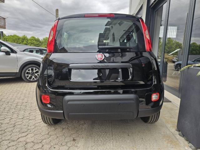 Fiat Panda Fiat Panda 1.0 Hybrid PROMO LUGLIO -1000€ - Immagine 8