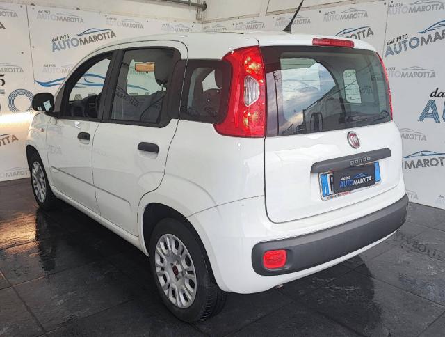 Fiat Panda 1.2 Easy Gpl UNI-PROPRIETARIO! - Immagine 12